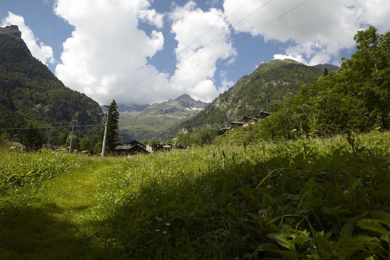 Hotel Monterosa Alagna Valsesia Eksteriør billede